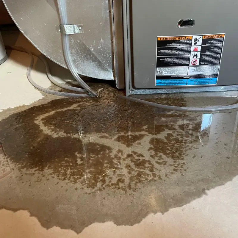 Pipe Burst and Leak Restoration in Woonsocket, RI